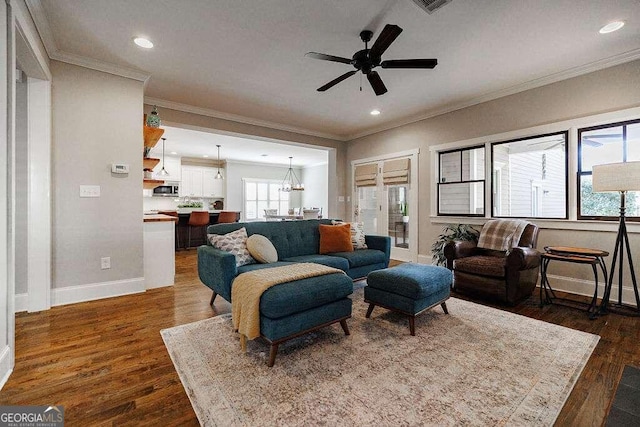 living room featuring ceiling fan with notable chandelier, dark hardwood / wood-style flooring, and crown molding