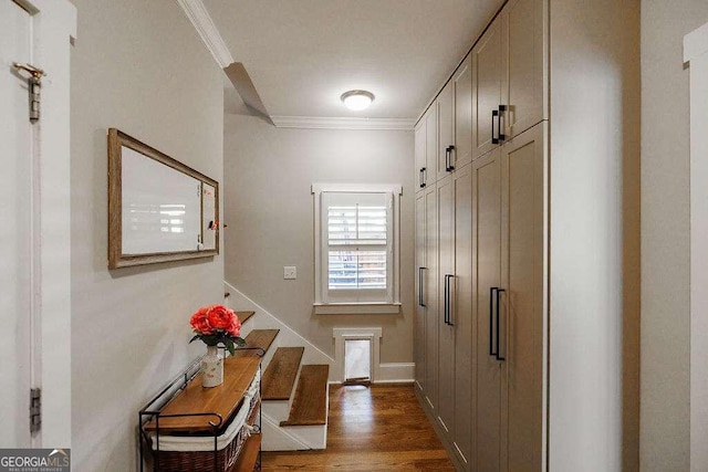 entryway with dark hardwood / wood-style floors and ornamental molding