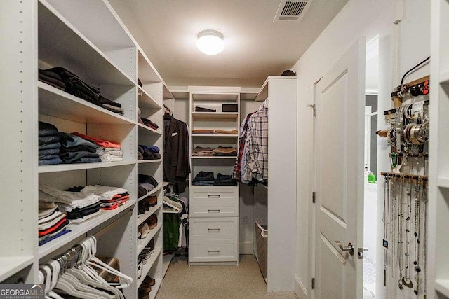 view of spacious closet