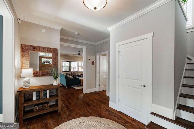 corridor featuring dark hardwood / wood-style floors and ornamental molding