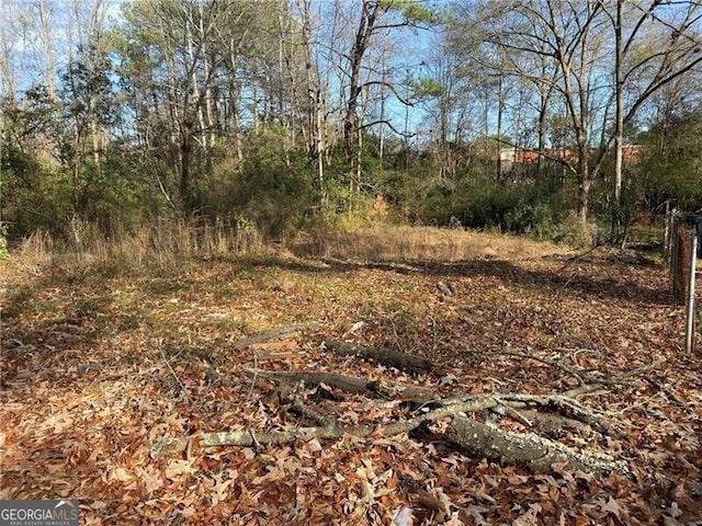 2126 Burroughs Ave SE, Atlanta GA, 30315 land for sale