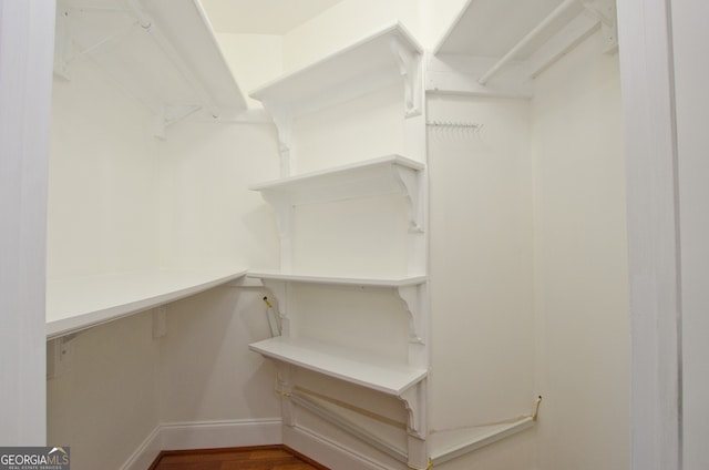 spacious closet with hardwood / wood-style flooring