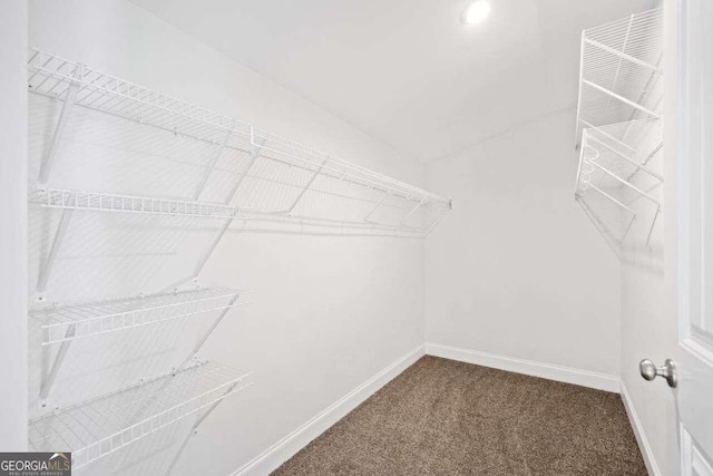 904 Berry Ct, Canton, GA 30114 - walk in closet with carpet