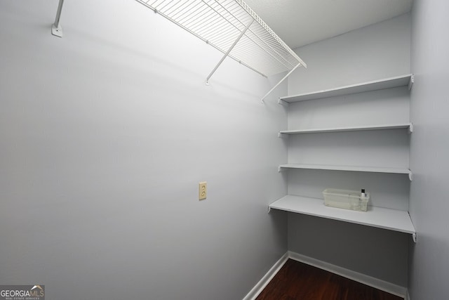 walk in closet featuring dark hardwood / wood-style flooring