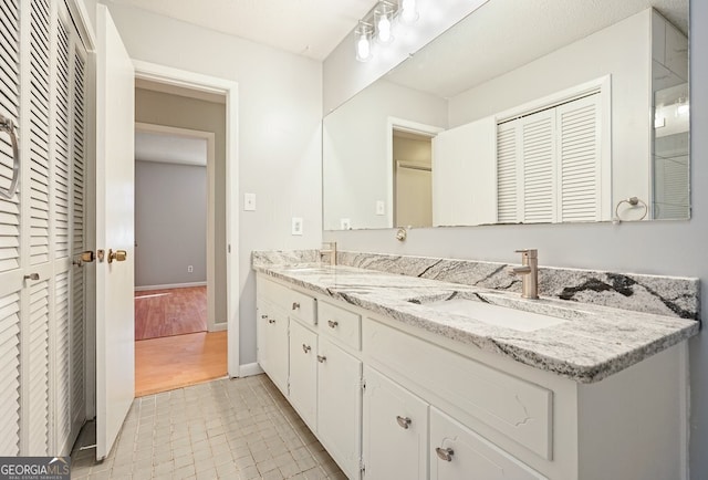 bathroom with hardwood / wood-style flooring and vanity