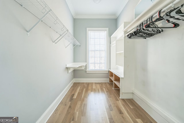 walk in closet featuring light hardwood / wood-style flooring