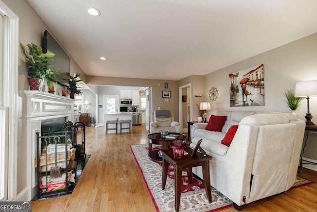 living room with hardwood / wood-style flooring