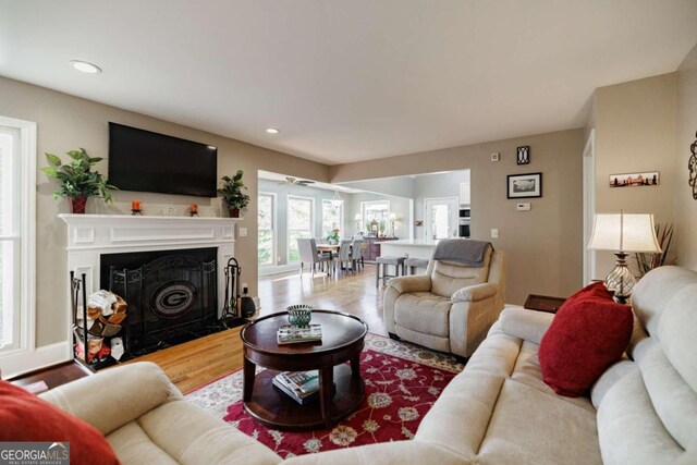 living room with hardwood / wood-style floors