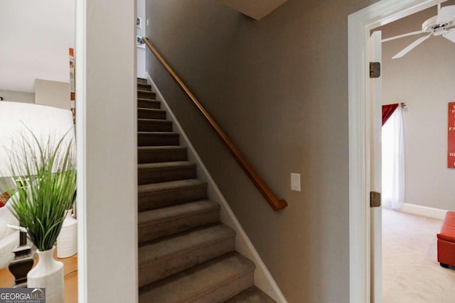 staircase featuring carpet and ceiling fan