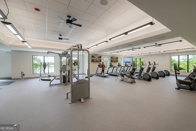 exercise room with a tray ceiling, a paneled ceiling, ceiling fan, and plenty of natural light