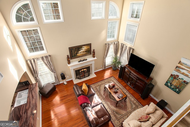 living room with plenty of natural light, a high ceiling, and hardwood / wood-style flooring