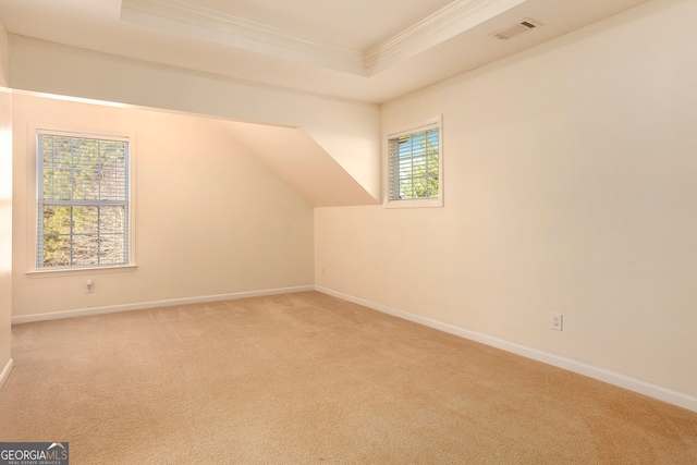 additional living space featuring carpet