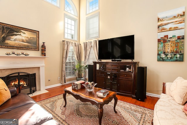 living room featuring hardwood / wood-style flooring and a high ceiling