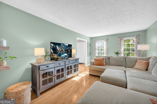 living room with light hardwood / wood-style floors and a textured ceiling