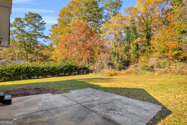 view of yard with a patio area