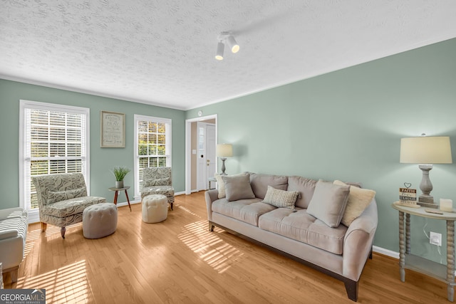 living room with wood-type flooring and a textured ceiling