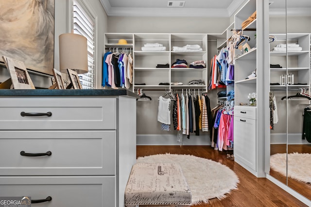 spacious closet featuring dark hardwood / wood-style flooring