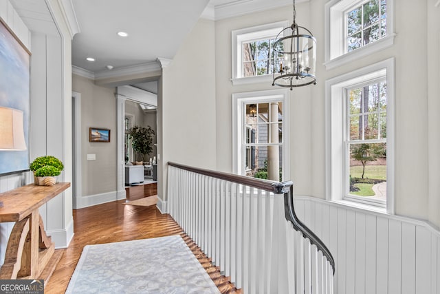 hall featuring hardwood / wood-style floors, ornamental molding, a healthy amount of sunlight, and an inviting chandelier