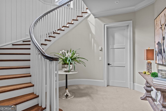 staircase featuring carpet flooring and ornamental molding