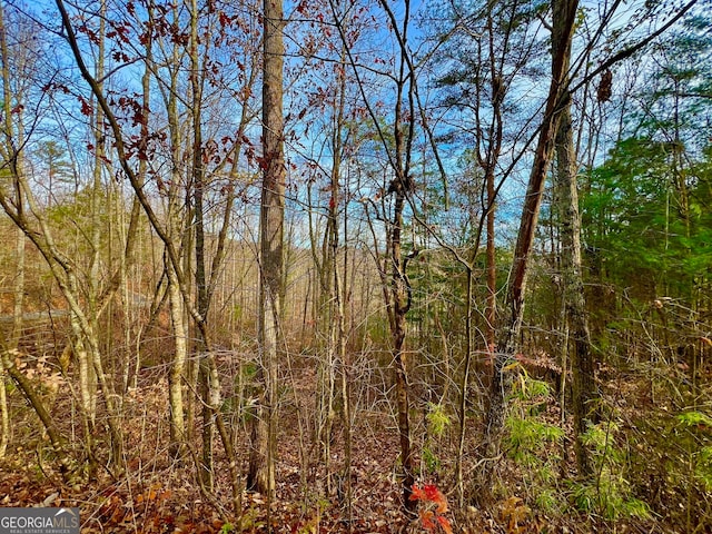 8 Firefly Ridge Rd, Blairsville GA, 30512 land for sale