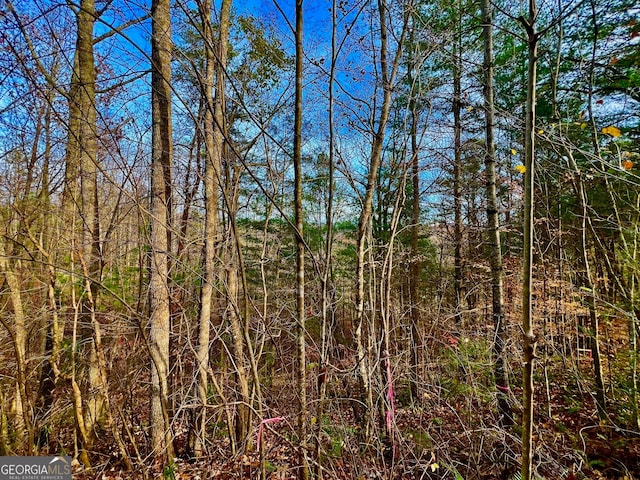 Listing photo 3 for 8 Firefly Ridge Rd, Blairsville GA 30512