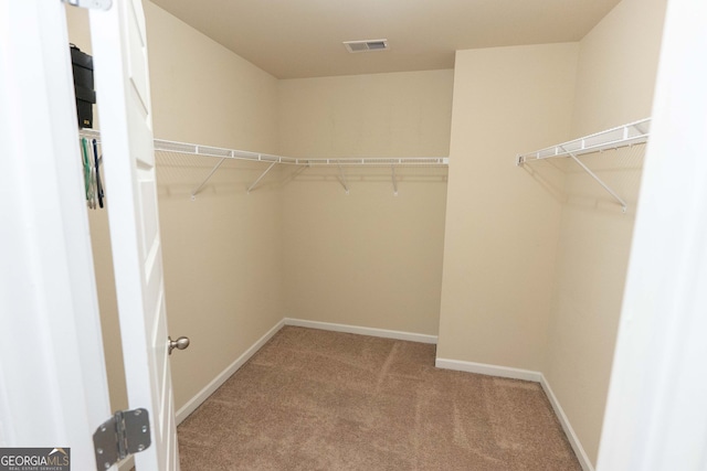 walk in closet with light carpet