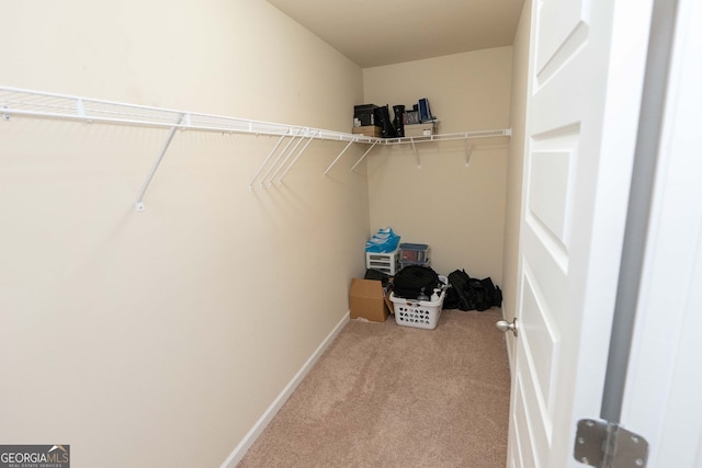 spacious closet with light carpet