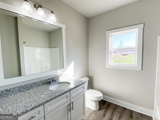 bathroom featuring toilet, vanity, and hardwood / wood-style flooring