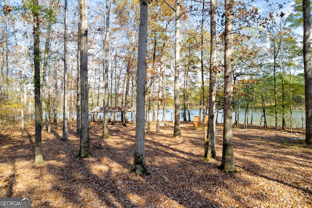 view of yard featuring a water view