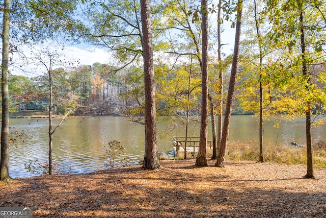 property view of water