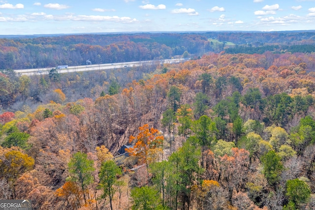 bird's eye view