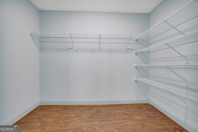 walk in closet featuring dark hardwood / wood-style floors