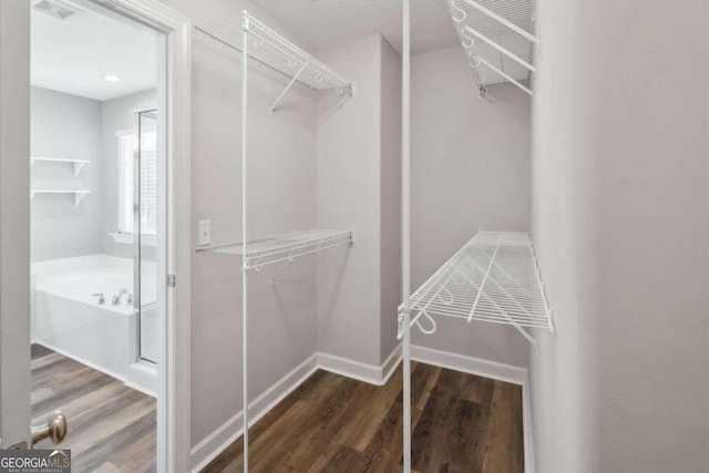 spacious closet featuring dark wood-type flooring