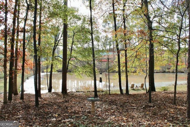 view of water feature