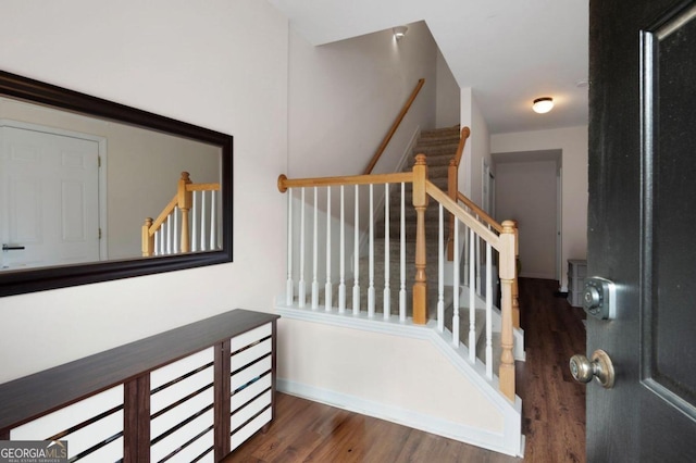 staircase with hardwood / wood-style floors