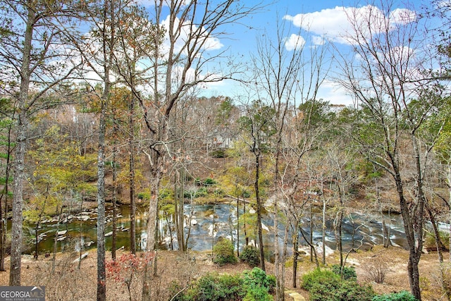 view of water feature