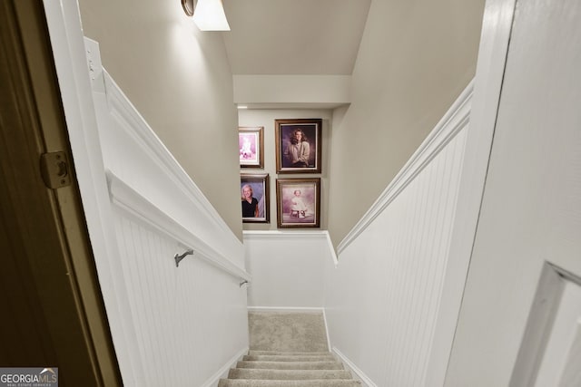 staircase with carpet floors