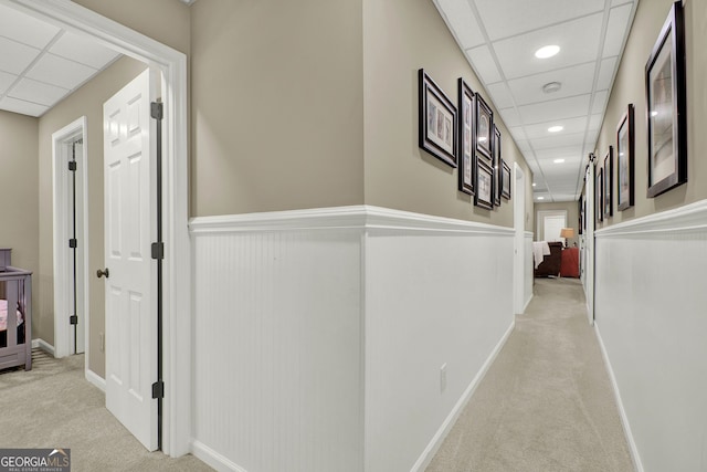 corridor featuring light carpet and a drop ceiling