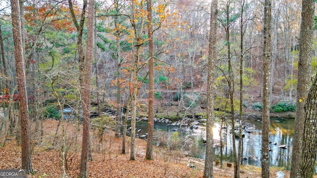 view of water feature