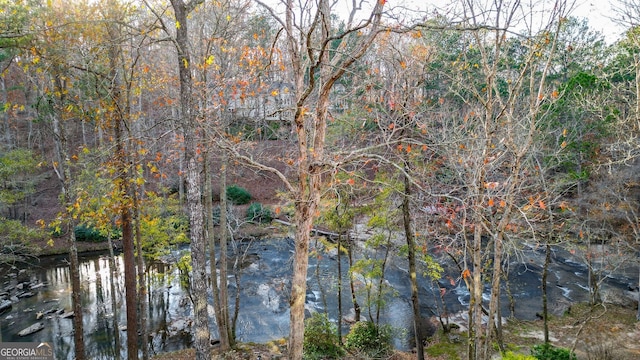 view of local wilderness