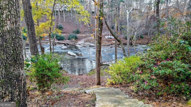 view of water feature