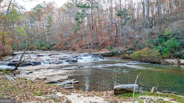 view of water feature