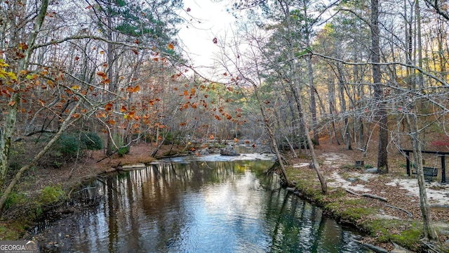 view of water feature