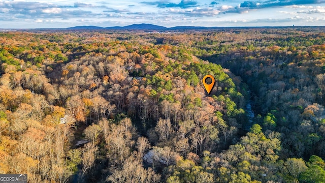 drone / aerial view featuring a mountain view