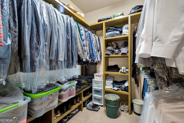 walk in closet with carpet