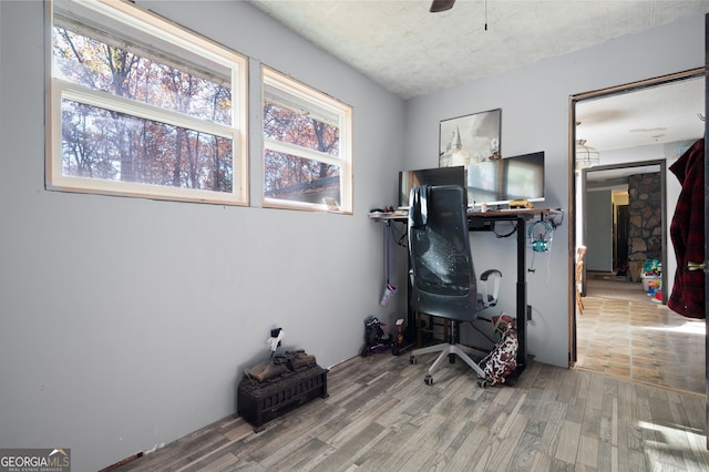 office with hardwood / wood-style floors