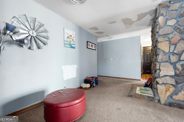 interior space with carpet and a textured ceiling