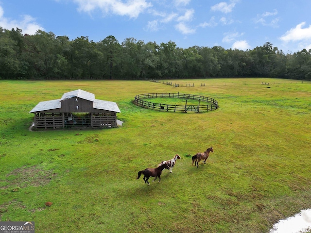 7667 Tallahassee Hwy, Attapulgus, GA 39815 - overview of rural landscape featuring a pastoral area and a forest