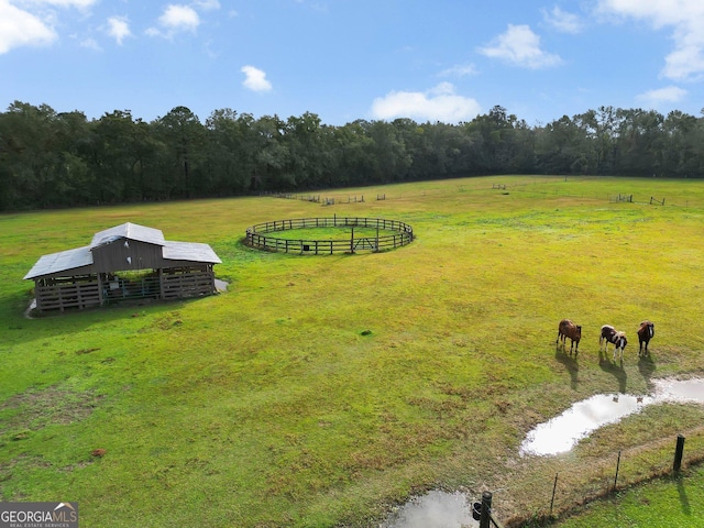 7667 Tallahassee Hwy, Attapulgus, GA 39815 - view of rural area with a pastoral area
