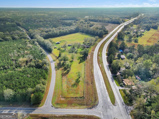 7667 Tallahassee Hwy, Attapulgus, GA 39815 - aerial view of property and surrounding area featuring a heavily wooded area